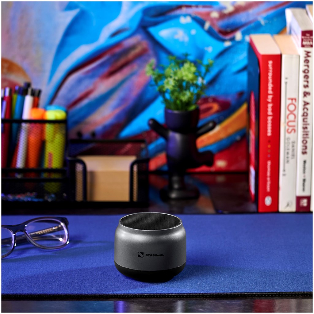 Swiss Cougar San Francisco Bluetooth Speaker - Image 13